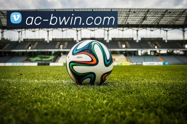 BWIN官网品牌故事